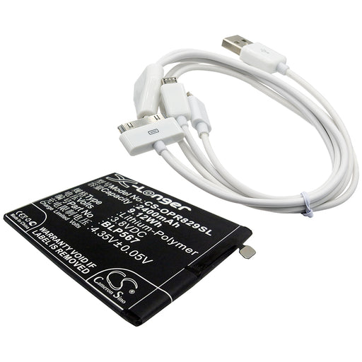 CS-CB021 - Image 1